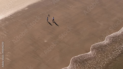 Dog And Two People Walking At The Beach In Summer. - aerial shot