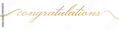 CONGRATULATIONS brush calligraphy banner vector illustration design background