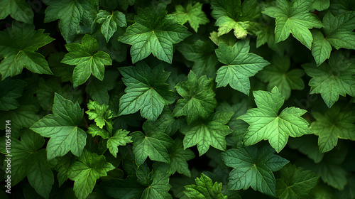  Lush Green Foliage: A Detailed View of Vibrant, Intertwined Leaves in Nature