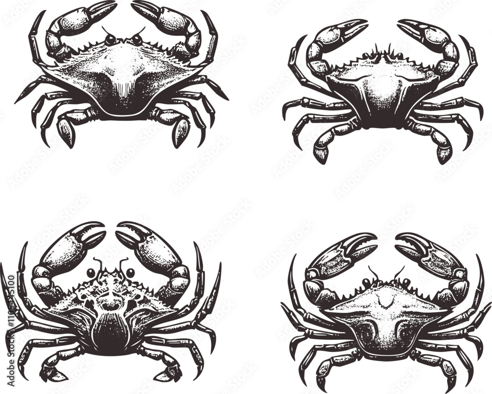 Crab Vector Icon and Logo Crab Vector Icon and Logo