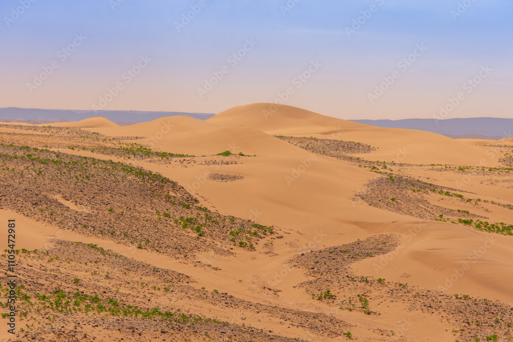 View of the Magnificent Landscape of the Sahara Desert in Morocco View of the Magnificent Landscape of the Sahara Desert in Morocco