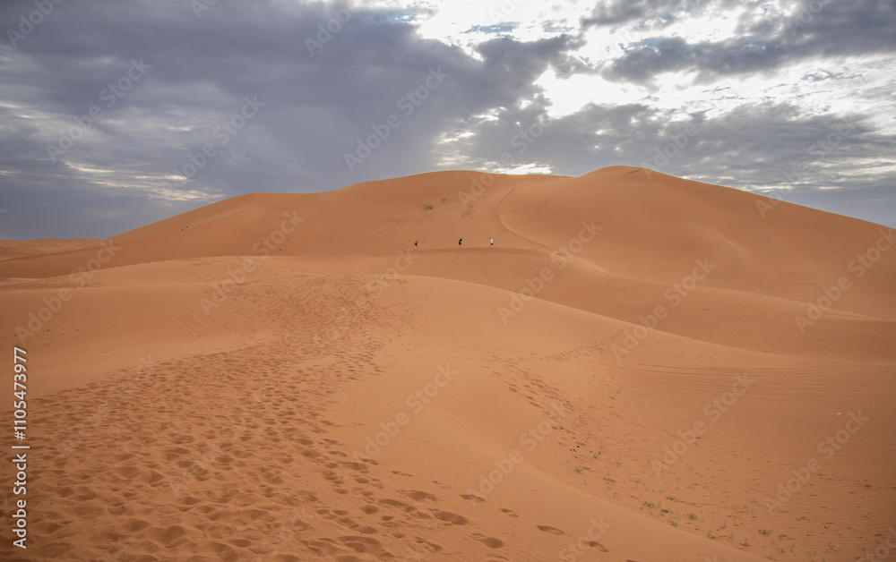 View of the Magnificent Landscape of the Sahara Desert in Morocco View of the Magnificent Landscape of the Sahara Desert in Morocco