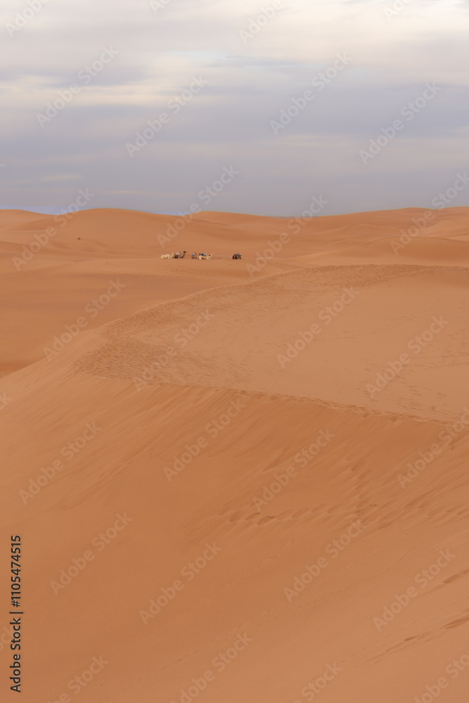 View of the Magnificent Landscape of the Sahara Desert in Morocco View of the Magnificent Landscape of the Sahara Desert in Morocco