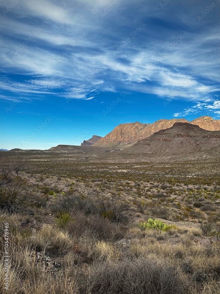 Beautiful desert scene in Big Bend National Park (Texas, USA) Beautiful desert scene in Big Bend National Park (Texas, USA)