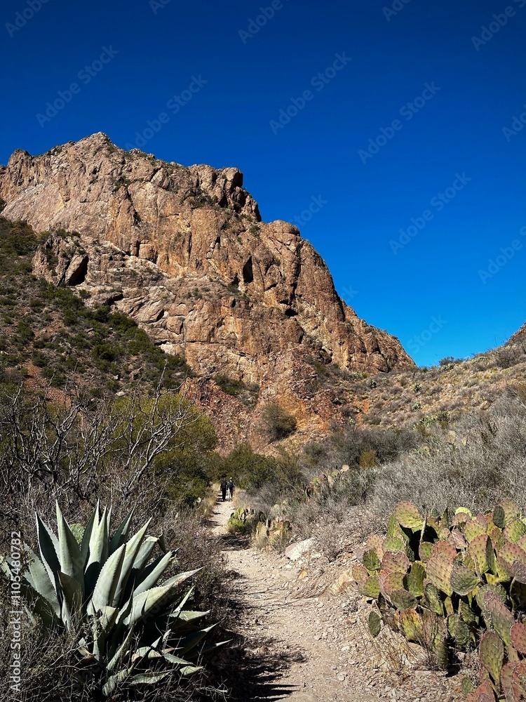 Towering red rock mountains on the side of the trail (Big Bend National Park, Texas, USA)