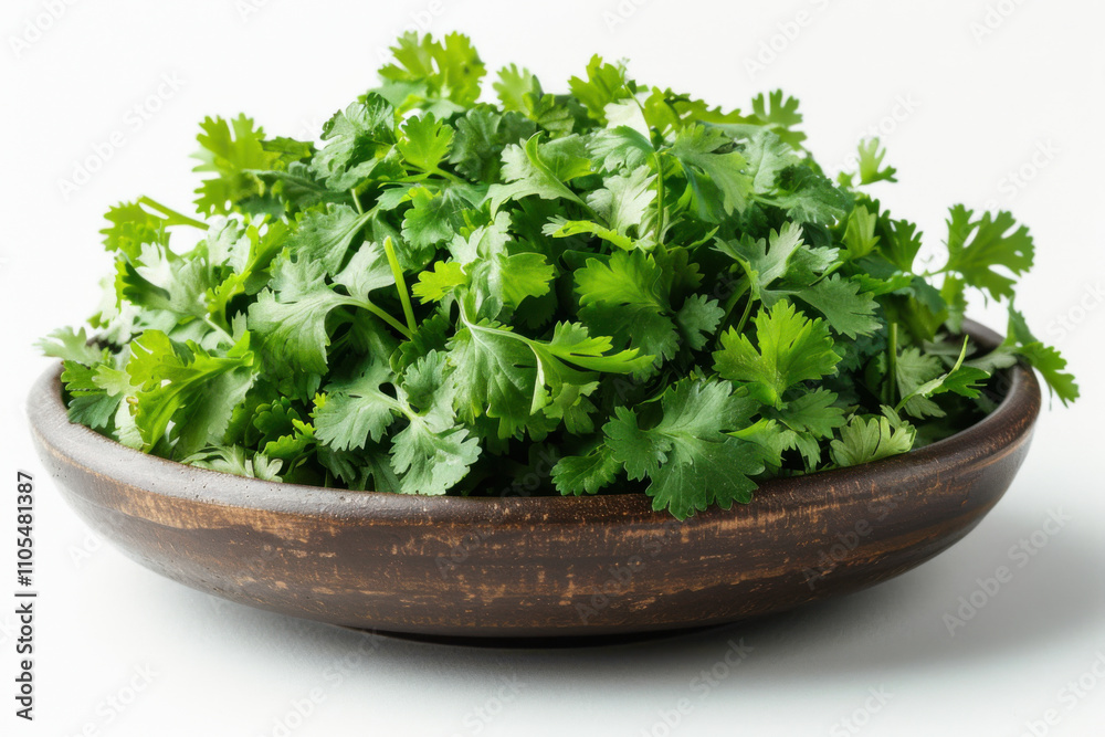 fresh coriander isolated on white background