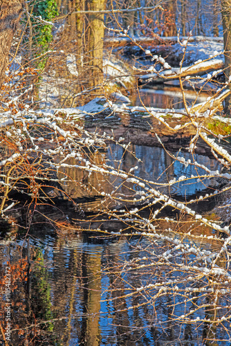 Snow-covered branches reflected in a peaceful stream, creating a serene and natural winter landscape photo