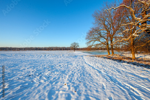 Snow-covered meadow with the sun rising, surrounded by trees, capturing a peaceful winter morning photo