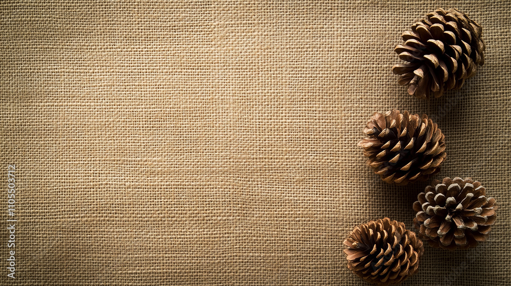 Rustic Pinecones on Burlap Fabric Background Rustic Pinecones on Burlap Fabric Background