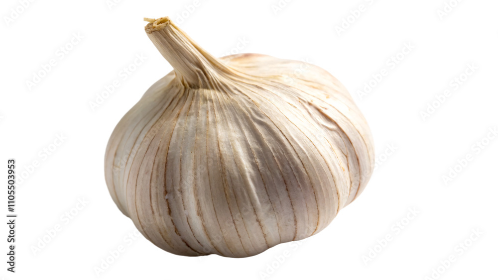 Obraz premium Isolated white garlic bulb, a healthy, organic ingredient for cooking and seasoning