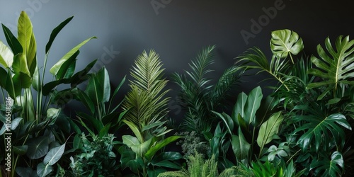 Lush Greenery of Tropical Plants in a Dark Background Showcasing Various Leafy Textures and Shades for Nature and Interior Design Aesthetics. photo