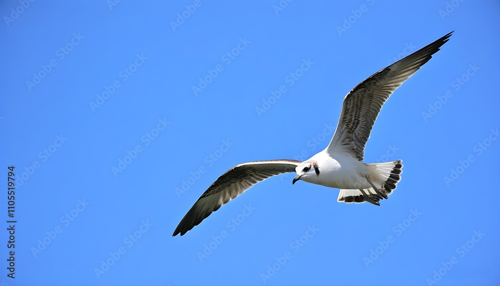 Fototapeta premium Stunning close-up of a bird soaring in the blue sky, highlighting its natural habitat.