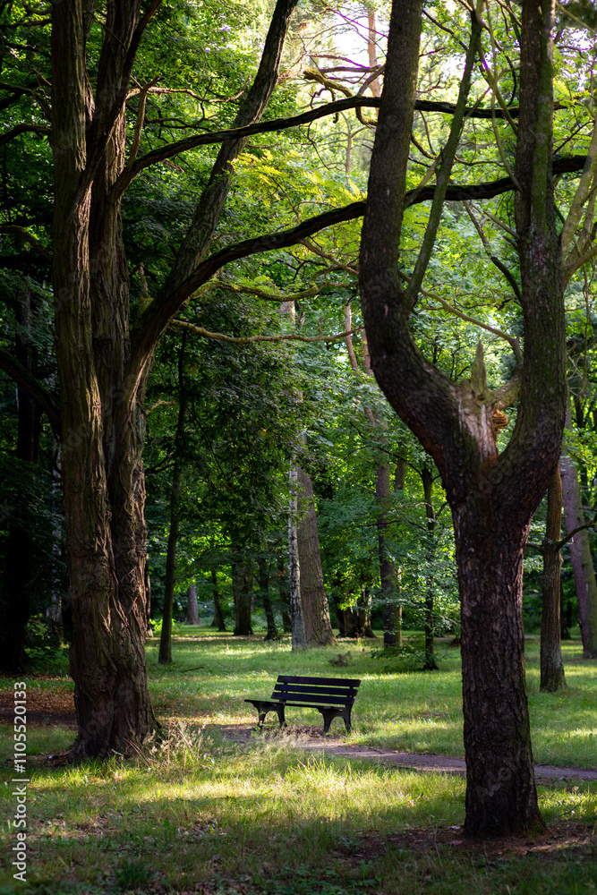 bench in the park bench in the park
