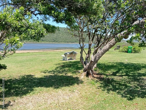 Bench in the park photo