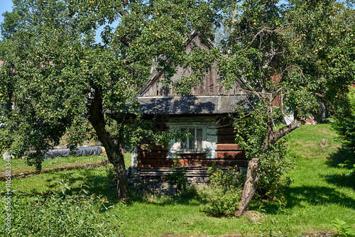 Fototapeta Naklejka Na Ścianę i Meble -  fruit trees by a traditional wooden cottage in the Beskidy Mountains