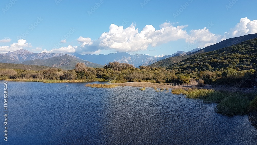 Le delta du Fango et le Monte Cinto en arrière-plan Le delta du Fango et le Monte Cinto en arrière-plan