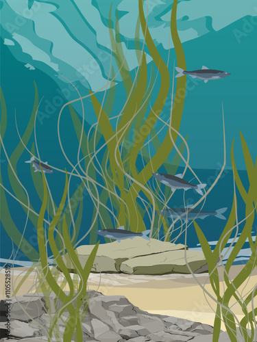 The underwater world of the northern river with fish and algae at the bottom. Realistic vector underwater landscape