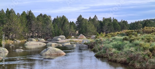 Vászonkép Le Tarn naissant près de Pont du Tarn sur le mont Lozère