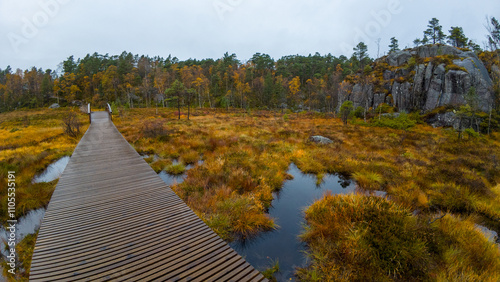 A wooden boardwalk stretches through a marshy landscape with autumn foliage, surrounded by trees and rocky hills under an overcast sky.