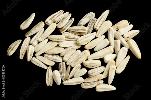 A bunch of white and black seeds are spread out on a black background
