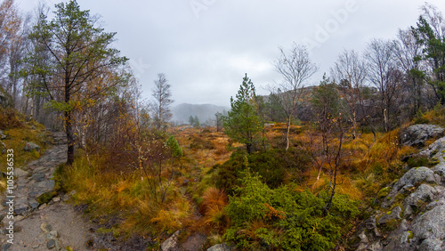 Misty Autumn Landscape with Rocky Path