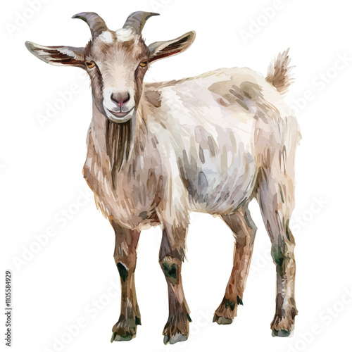 A watercolor vector of Goat, isolated on a white background. Goat vector.