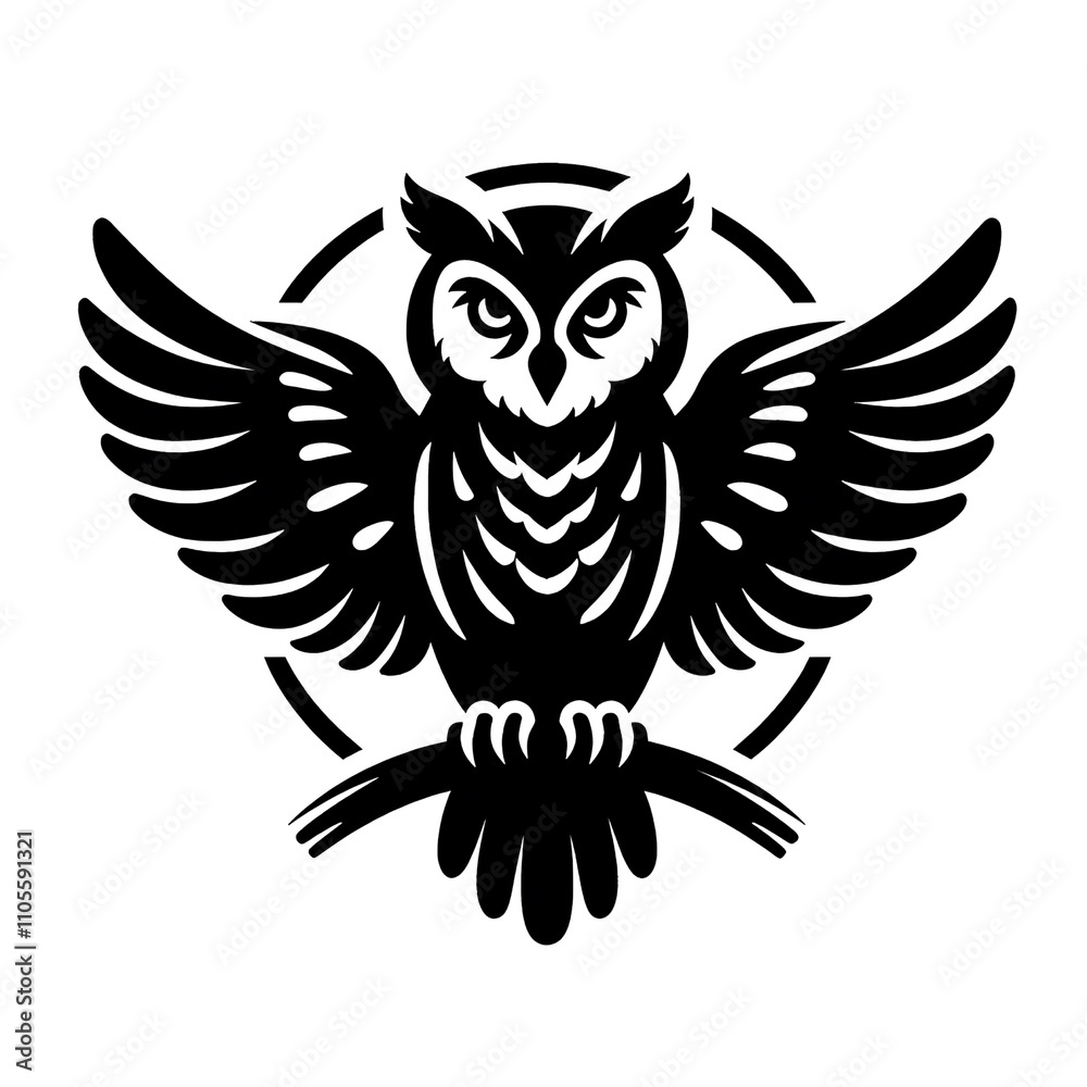 owl with wings, isolated on transferred background, cut out owl with wings, isolated on transferred background, cut out