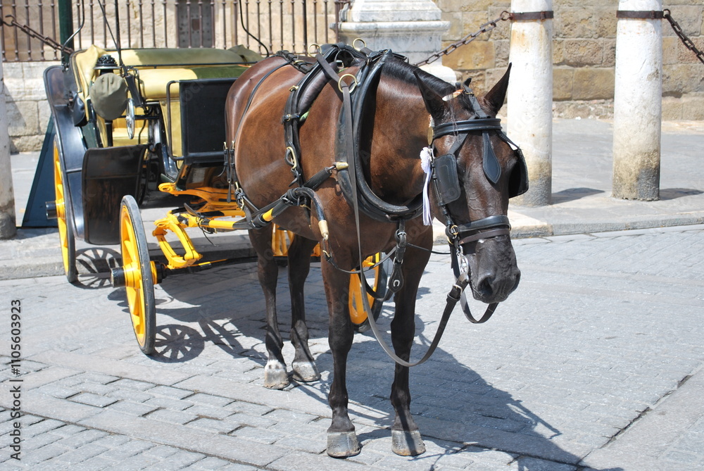 Close-up of a brown horse harnessed to a vintage carriage on a sunny day. Close-up of a brown horse harnessed to a vintage carriage on a sunny day.