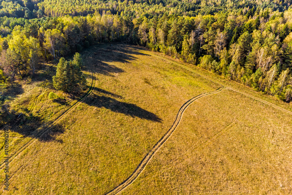 Top view of a field near an autumn forest Top view of a field near an autumn forest