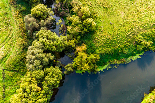 Fotografie Aerial view of the river mouth