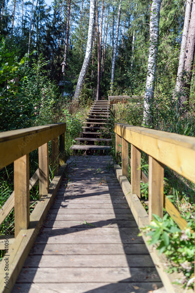 Wooden walkway winding through a densely wooded forest on a sunny day during late summer Wooden walkway winding through a densely wooded forest on a sunny day during late summer