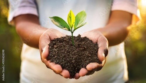 Plant in Hands. Ecology concept  photo