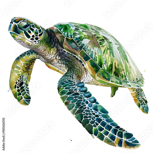 A watercolor of Green Sea Turtle, isolated on a white background. Turtle vector. photo