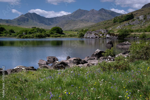 Bluebells and wildflowers beside Llynnau Mymbyr backed by the Mount Snowdon (Yr Wyddfa) and the Snowdon Horseshoe, Dyffryn Mymbyr, Snowdonia National Park (Eryri), North Wales, United Kingdom photo
