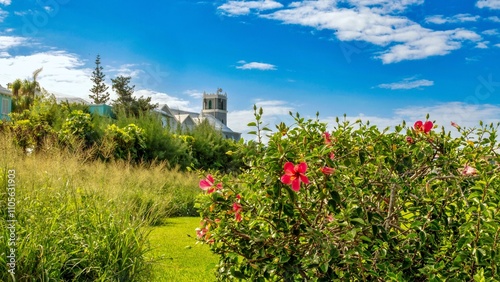 The Marsden First United Methodist Church, seen through hibiscus flowers, Smiths, Bermuda, North Atlantic photo