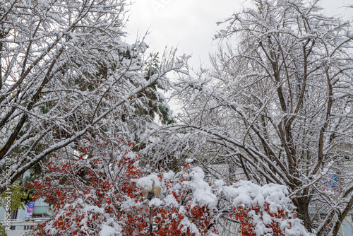winter