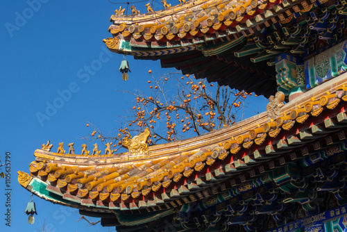 Roof of Yonghe Temple in Beijing, photo