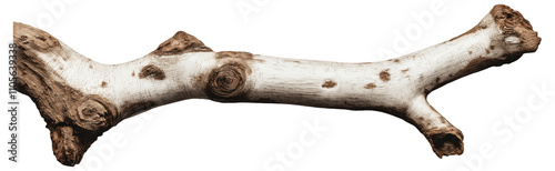 PNG Large wooden branch with knots