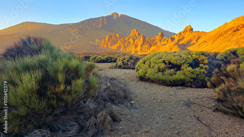 El Teide National Park, UNESCO World Heritage Site, Tenerife, Canary Islands, Spain, Atlantic