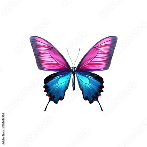 Wallpaper Mural Vibrant Pink and Blue Butterfly Isolated on White Background Torontodigital.ca