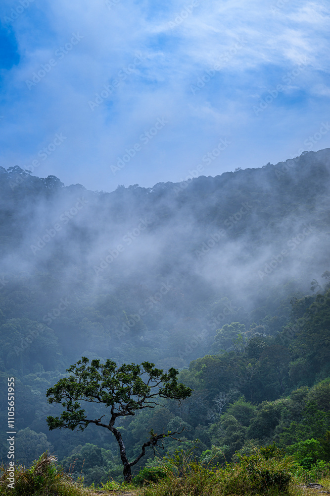 Fototapeta premium clouds over the mountain