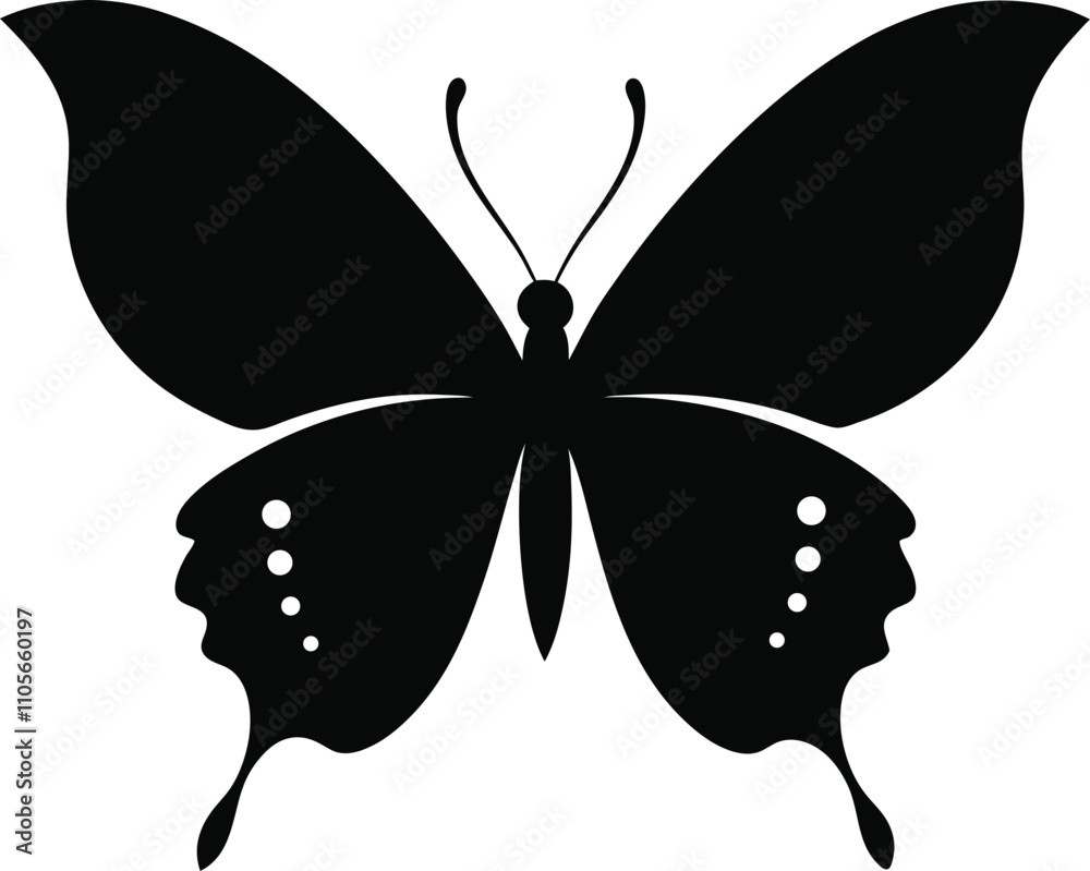 Black Butterfly Silhouette Isolated on White Black Butterfly Silhouette Isolated on White