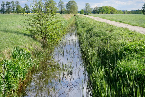 Wassergraben in Brandenburger Landschaft