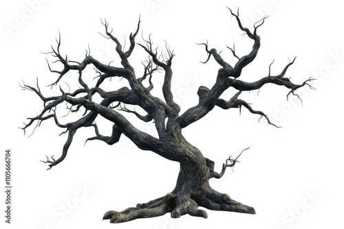spooky leafless old tree with gnarled branches isolated on transparent or white background
