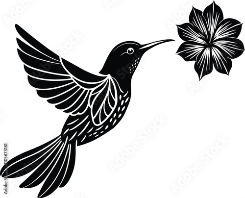 Sunbird among vibrant petals on white background photo