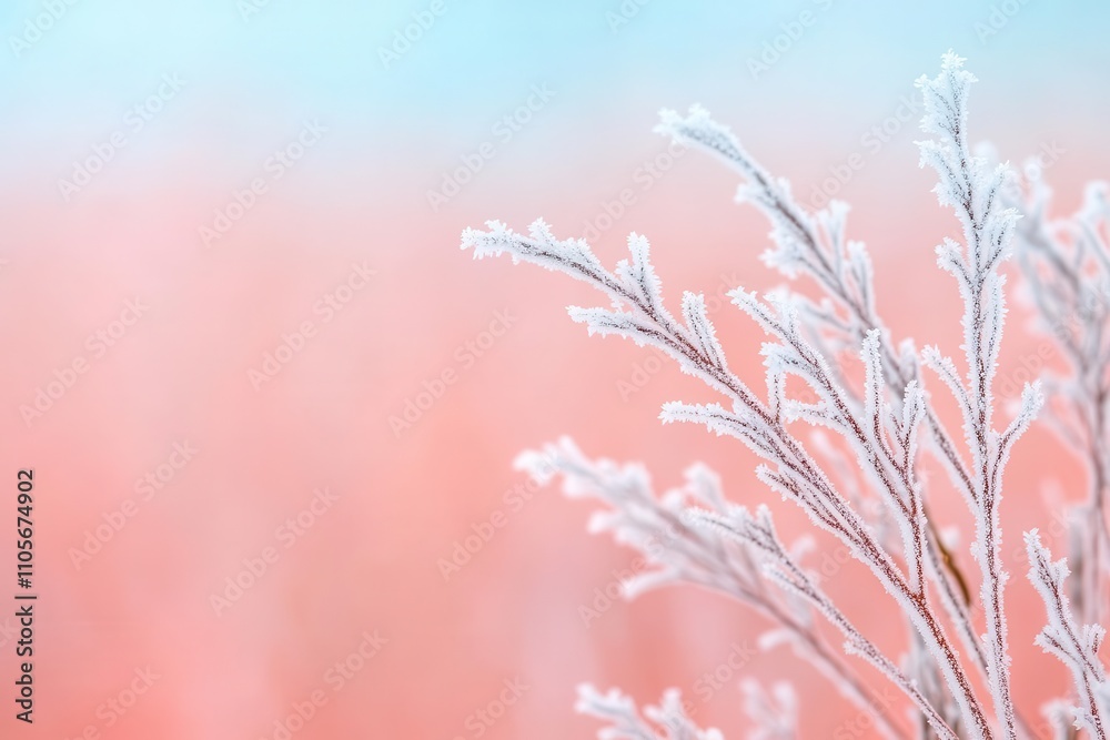 Macro shot of frost crystals on a plant, intricate natural ice formation, cold tone Macro shot of frost crystals on a plant, intricate natural ice formation, cold tone