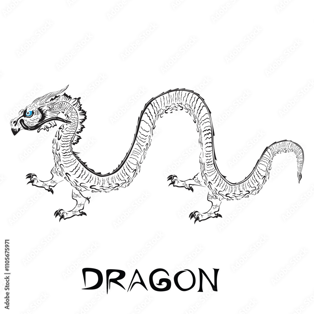 Fototapeta premium Dragon vector