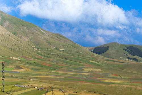 fioritura delle lenticchie sull'altipiano di Castelluccio