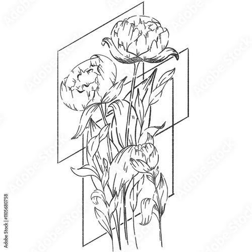 Detailed line drawing of peony flower arranged elegantly on a white background, showcasing their intricate petals and foliage