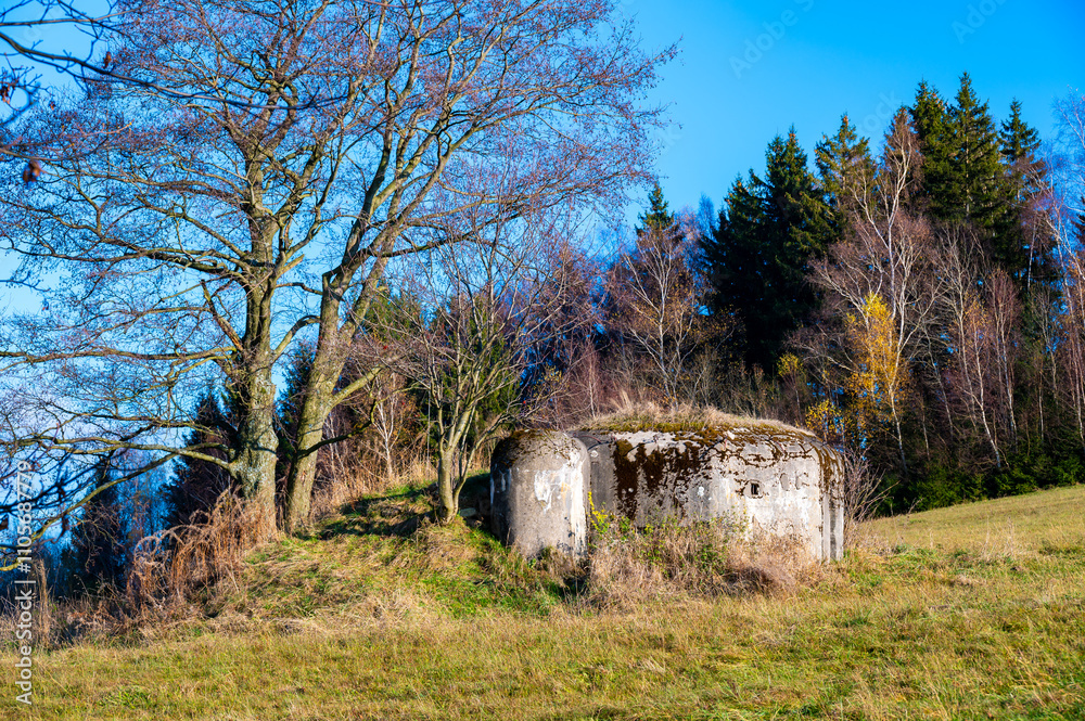 A historical view of a Czechoslovak anti-infantry bunker, known as a